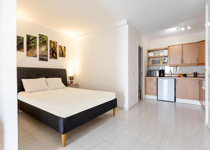 Port Royale 291, Spacious